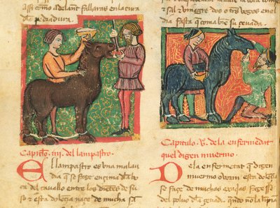 Ms 214 fol.26v Atta glossit tedavisi, Libro de Menescalcia y Albeyteria