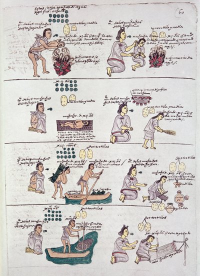 Codex Mendoza