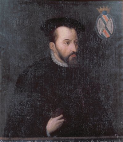 Antonio de Mendoza'nın portresi, c.1534 (tuval üzerine yağlı boya) by Spanish School