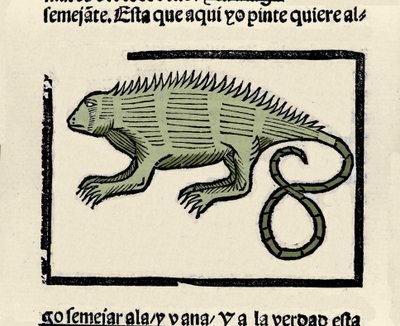 Bir iguananın temsili. Gonzalo Fernandez de Oviedo (Gonzalo) veya Fernandez de, ou Hernandez de Oviedo y Valdes (1478-1557) tarafından “Hint Adaları, adalar ve okyanus denizinin anakarasının genel tarihi” kitabından gravür by Spanish School