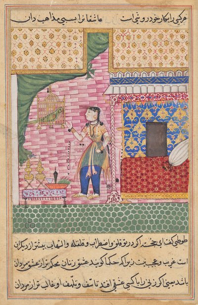 Papağan, Bir Tuti-nama