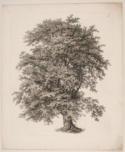 "Studier, Naturen med Hensyn til Landskabstegning af S.H. Petersen", nr. 2 by Søren Henrik Petersen