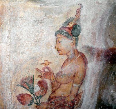 Hizmetçinin görünümü by Sri Lankan School