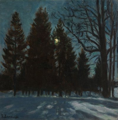 Kış Gecesi, 1931 by Stanislav Julianovic Zukovskij