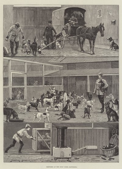 Köpeklerin Evi, Battersea