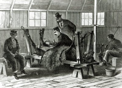 Buzağıdan virüs almak, 1872