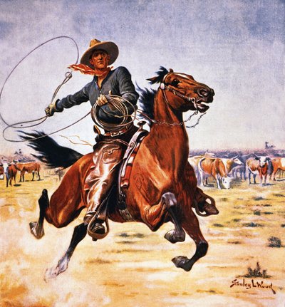 Kement ile kovboy by Stanley L. Wood