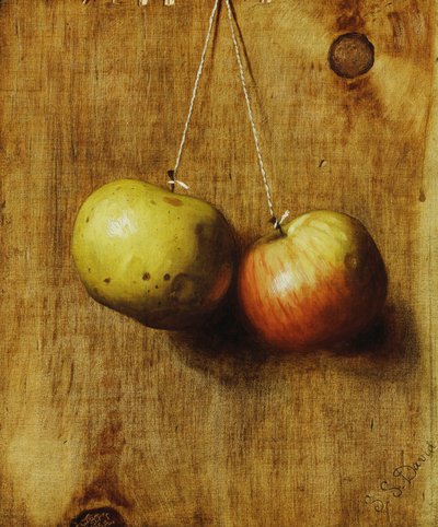 elma asılı by Stanley S. David