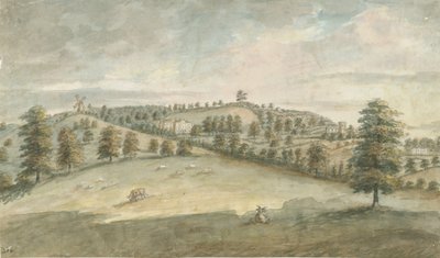 Dilhorne Hall: sulu boya, nd [1762-1802] (resim) by Stebbing Shaw