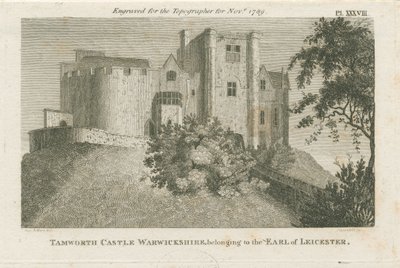 Tamworth Kalesi: gravür, nd [c 1799] (baskı) by Stebbing Shaw