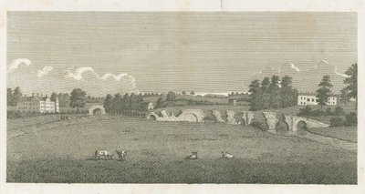 Wolseley Köprüsü: gravür by Stebbing Shaw