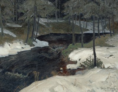 Bergström by Stefan Filipkiewicz