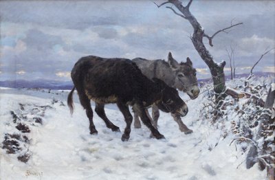 Karda iki eşek by Stefano Bruzzi