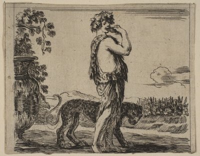 Bacchus, Game of Mythology Game of Mythology