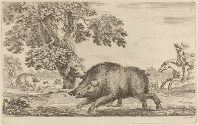 Sola Koşan Yaban Domuzu. by Stefano della Bella