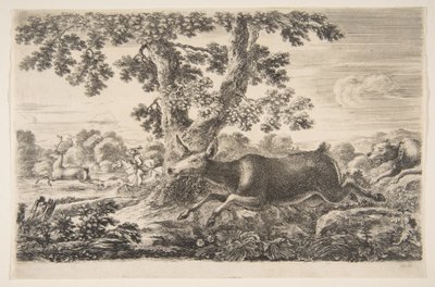 Geyik avı, Hayvan avlarından Farklı hayvanlar için avlar, ca. 1654. by Stefano della Bella