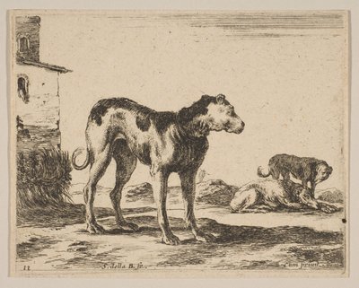 Levha 11: Köpekler, çeşitli hayvanlardan Diversi animali, yakl. 1641. by Stefano della Bella