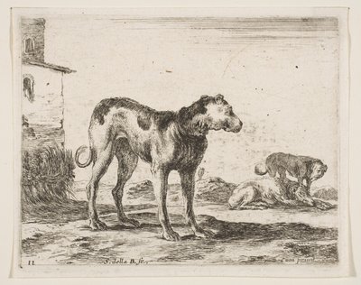 Levha 11: Köpekler, çeşitli hayvanlardan Diversi animali, yakl. 1641. by Stefano della Bella
