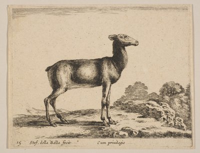 Levha 15: Doe, 