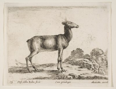 Levha 15: Doe, çeşitli hayvanlardan Diversi animali, yakl. 1641. by Stefano della Bella