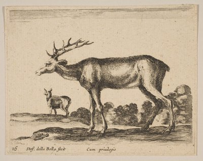 Levha 16: geyik, çeşitli hayvanlardan Diversi animali, yakl. 1641. by Stefano della Bella