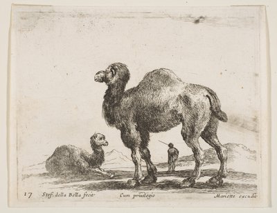 Levha 17: Çeşitli hayvanlardan develer Diversi animali, yakl. 1641. by Stefano della Bella