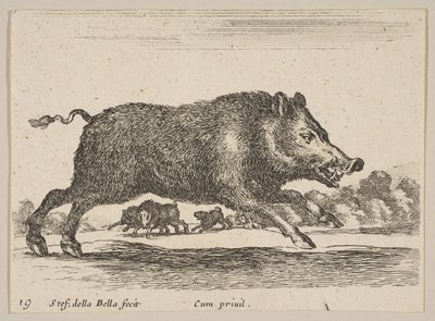 Levha 19: Yaban domuzu, çeşitli hayvanlardan Diversi animali, yakl. 1641. by Stefano della Bella