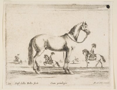 Levha 21: Çeşitli hayvanlardan at, Diversi animali, 1641. by Stefano della Bella
