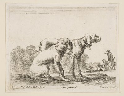 Levha 23: Çeşitli hayvanlardan iki tazı Diversi animali, yaklaşık. 1641. by Stefano della Bella