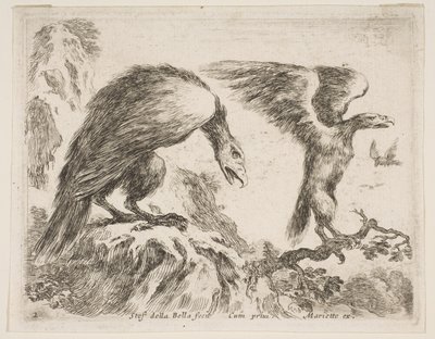 Levha 2: Çeşitli hayvanlardan kartal ve kartal, Diversi animali, yakl. 1641. by Stefano della Bella