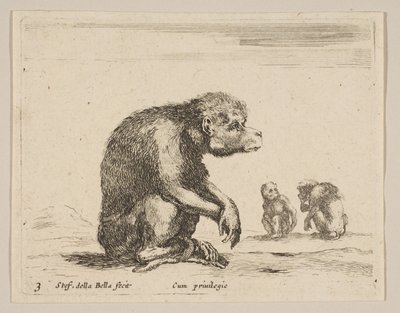 Levha 3: Oturan maymun, çeşitli hayvanlardan Diversi animali, yaklaşık. 1641. by Stefano della Bella