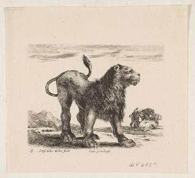 Levha 6: Aslan, 