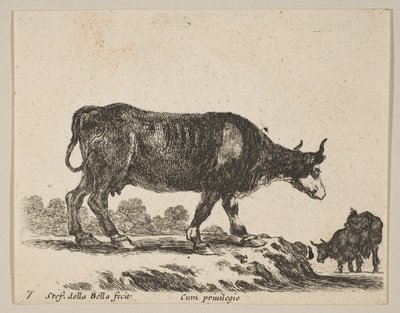 Levha 7: inek, çeşitli hayvanlardan Diversi animali, yakl. 1641. by Stefano della Bella
