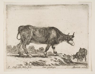 Levha 7: öküz, çeşitli hayvanlardan Diversi animali, ca. 1641. by Stefano della Bella