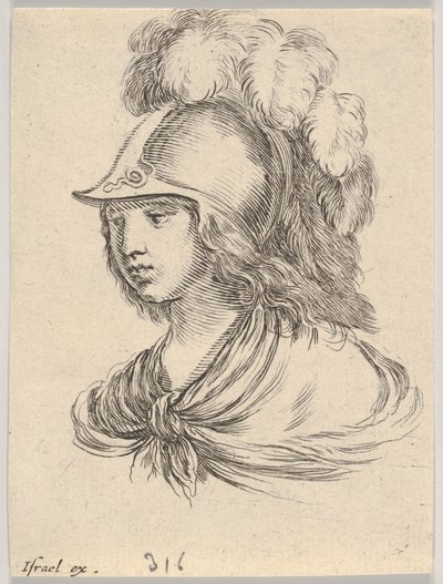 Levha 9: Minerva