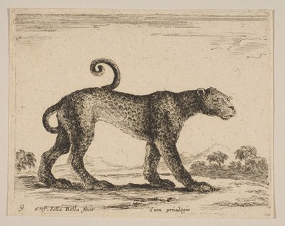 Levha 9: leopar, çeşitli hayvanlardan Diversi animali, yakl. 1641. by Stefano della Bella