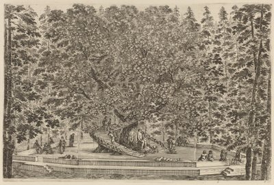Yerleşik Ağaç, muhtemelen 1653. by Stefano della Bella