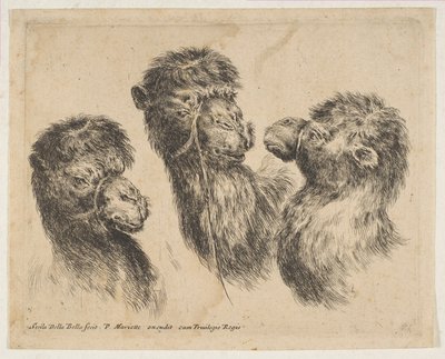 Üç Deve Başı, ca. 1641. by Stefano della Bella