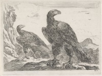 Sağa kafaları olan iki kartal Eagles (seri başlığı) by Stefano della Bella