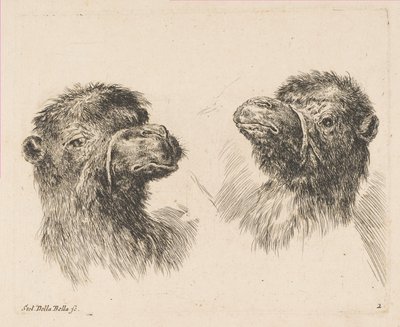 İki Deve Başı, ca. 1641. by Stefano della Bella