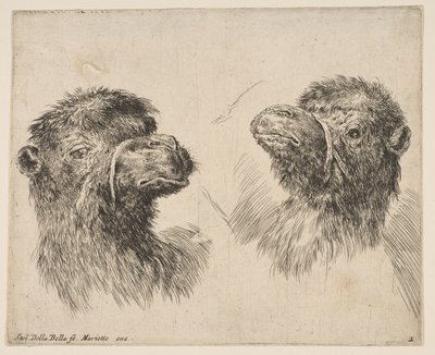 İki Deve Başı, ca. 1641. by Stefano della Bella