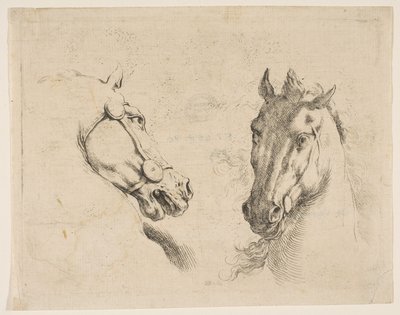 İki At Kafası, ca. 1649. by Stefano della Bella