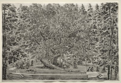 Villa of Pratolino'nun Manzaraları: Yaşanılan Ağaç by Stefano della Bella