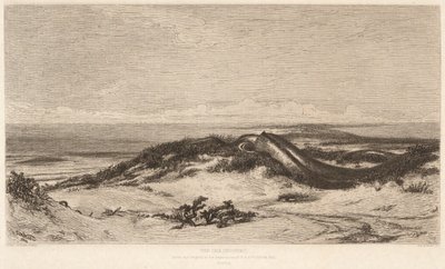 deniz yılanı by Stephen Alonzo Schoff