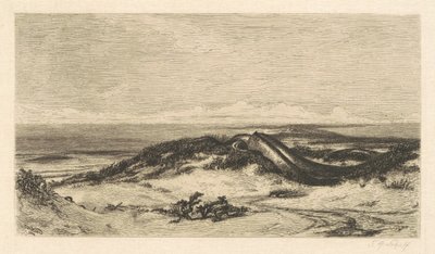 deniz yılanı by Stephen Alonzo Schoff, after Elihu Vedder