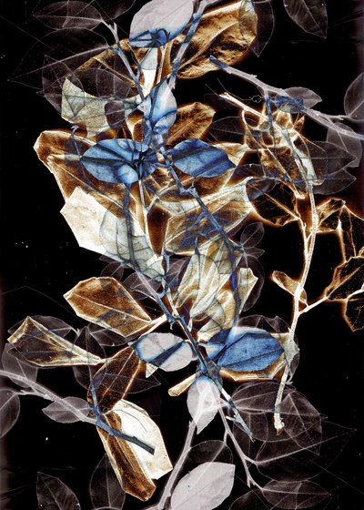  by Stephen Dow