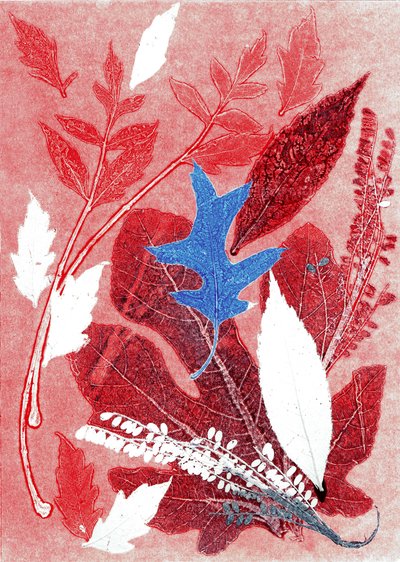 Jol III, 2017 (kağıt üzerine monoprint) by Stephen Dow