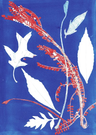 Jol I, 2017 (kağıt üzerine monoprint) by Stephen Dow