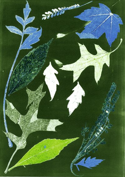  by Stephen Dow