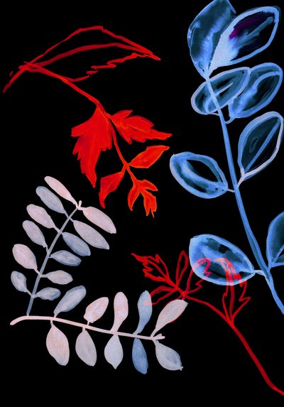 Gece Florası IV, 2018 (dijital) by Stephen Dow